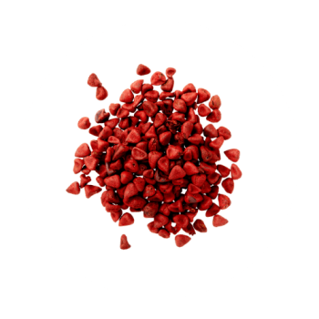 2_6589df4a-6555-4e5b-932d-d5ad5921369e 2_6589df4a-6555-4e5b-932d-d5ad5921369e